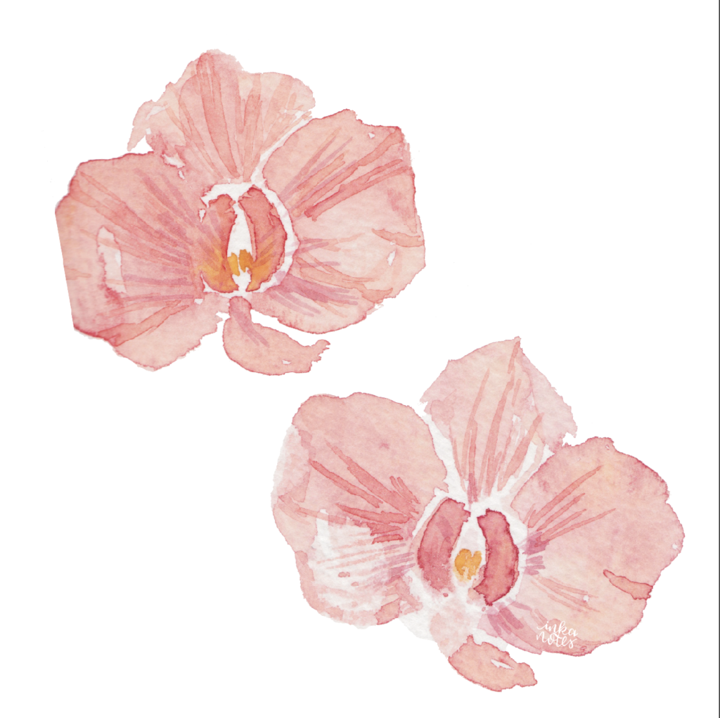 orchid-sample-monogram-floral-watercolour-custom-painting-inkanotes-irish-ireland-calligraphy-botanical-watercolour