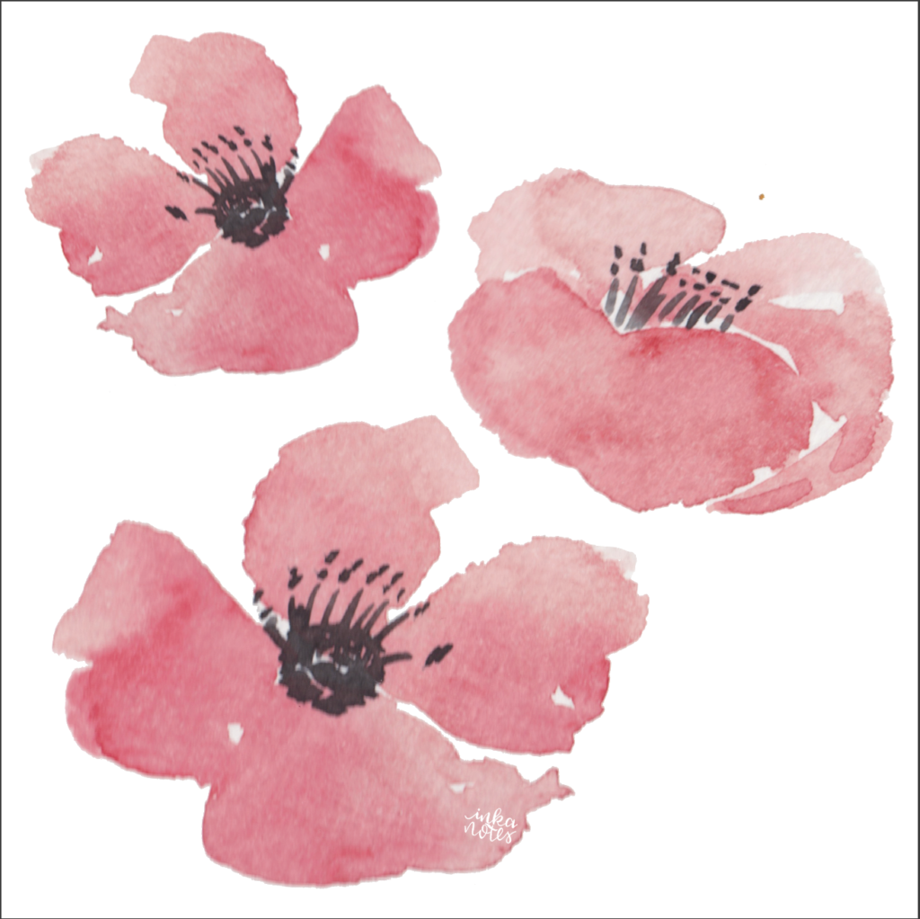 poppy-sample-monogram-floral-watercolour-custom-painting-inkanotes-irish-ireland-calligraphy-botanical-watercolour